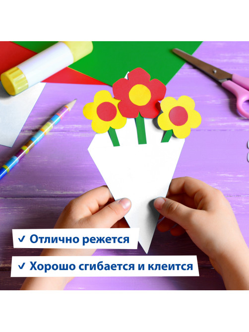 Картон для подшивки документов А4, немелованный, 100 листов, 260 г/м2, BRAUBERG, 210х297 мм, 124877