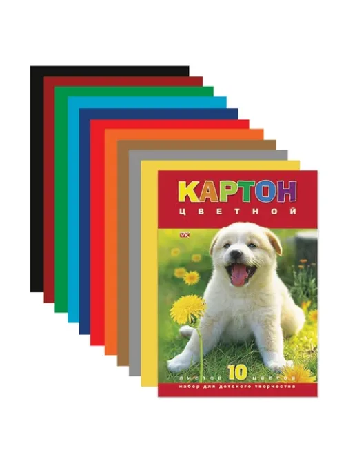 Картон цветной А4 МЕЛОВАННЫЙ, 10 листов 10 цветов, в папке, HATBER ECO, 195х290 мм, 