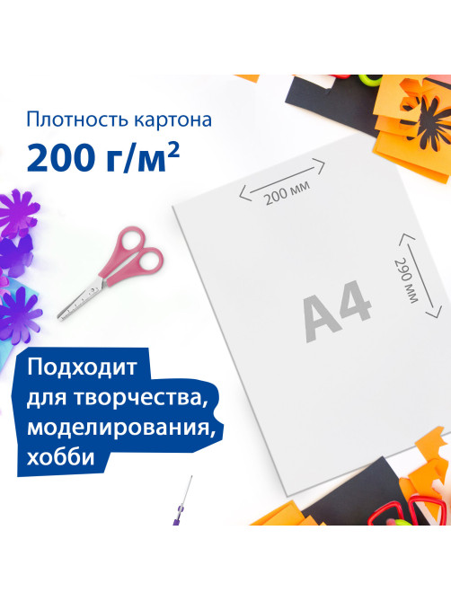 Картон белый А4 МЕЛОВАННЫЙ (белый оборот), 16 листов, в папке, BRAUBERG, 200х290 мм, 113561