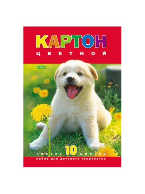 Картон цветной А4 МЕЛОВАННЫЙ, 10 листов 10 цветов, в папке, HATBER ECO, 195х290 мм, 