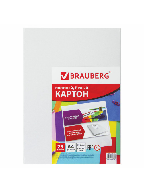 Картон белый А4 МЕЛОВАННЫЙ (белый оборот), 25 листов, BRAUBERG, 210х297 мм, 124021