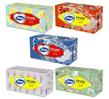 Салфетки косметические 2-слойные в картонном коробе, 250 штук, ZEWA Everyday, 8679