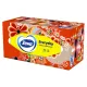 Салфетки косметические 2-слойные в картонном коробе, 250 штук, ZEWA Everyday, 8679
