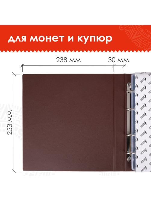 Альбом нумизмата для 380 монет (диаметр до 38 мм) и купюр, 253х238 мм, коричневый, ОСТРОВ СОКРОВИЩ, 237961