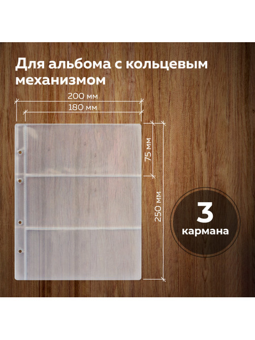 Листы-вкладыши для денежных купюр для альбома 