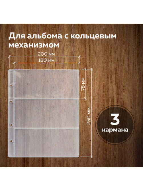 Листы-вкладыши для денежных купюр для альбома 