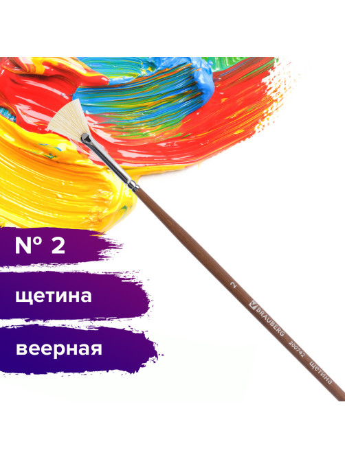 Кисть художественная профессиональная BRAUBERG ART CLASSIC, щетина, веерная, № 2, длинная ручка, 200742
