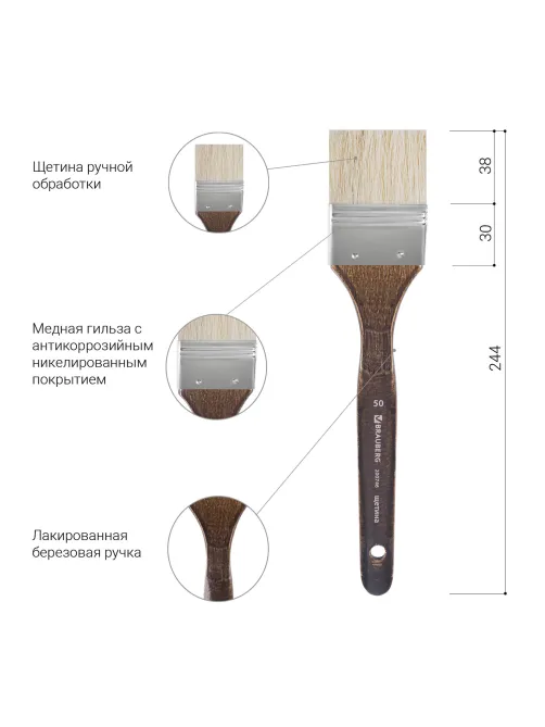 Кисть художественная профессиональная BRAUBERG ART CLASSIC, щетина, флейц, № 50, короткая ручка, 200746