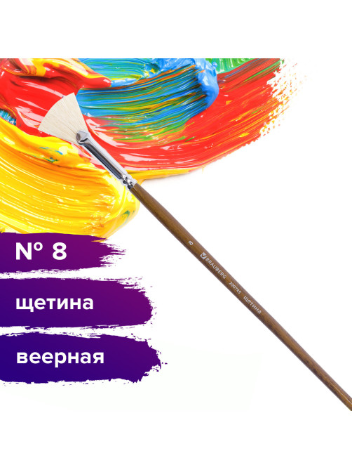 Кисть художественная профессиональная BRAUBERG ART CLASSIC, щетина, веерная, № 8, длинная ручка