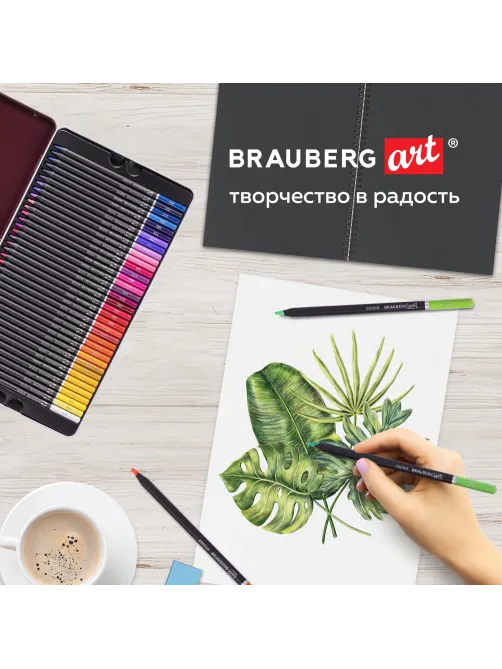 Карандаши цветные художественные BRAUBERG ART PREMIERE, НАБОР 72 цвета, 4 мм, металл кейс, 181693