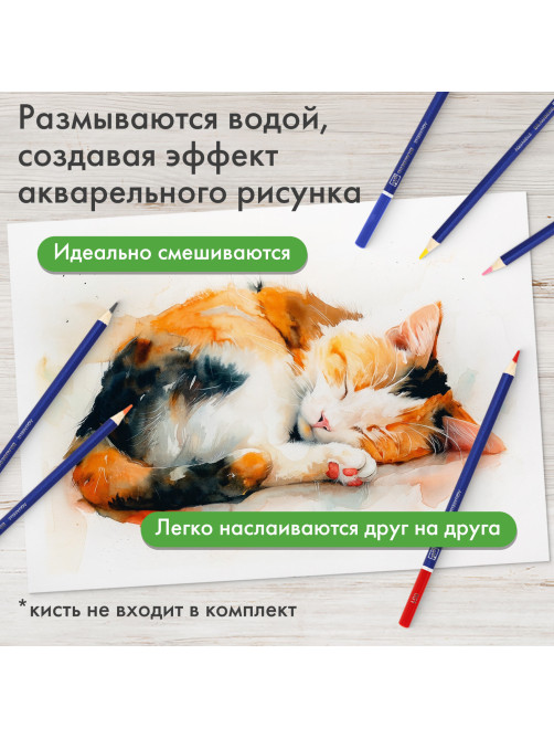Карандаши художественные цветные акварельные BRAUBERG ART CLASSIC, 48 цветов, грифель 3,3 мм, 181532