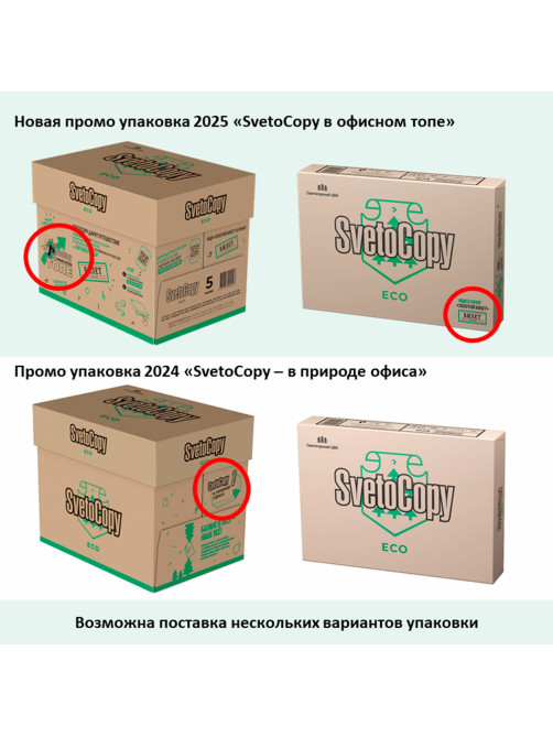 Бумага офисная А4, 80 г/м2, 500 л., SVETOCOPY ECO, белизна 60%, Россия