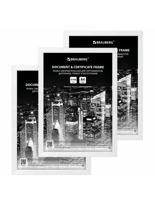 Рамка 21х30 см небьющаяся, КОМПЛЕКТ 3 шт., багет 14 мм дерево, BRAUBERG 