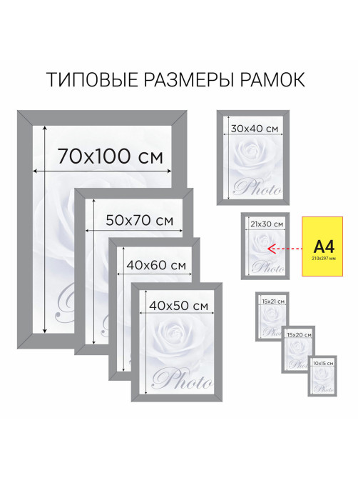 Рамка 21х30 см небьющаяся, КОМПЛЕКТ 3 шт., багет 14 мм дерево, BRAUBERG 