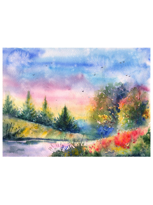 Краски акварельные медовые 6 цветов ПИФАГОР 