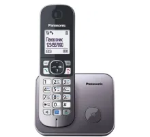 Радиотелефон PANASONIC KX-TG6811RUM, память 50 номеров, АОН, повтор, спикерфон, полифония, 10-100 м, серый
