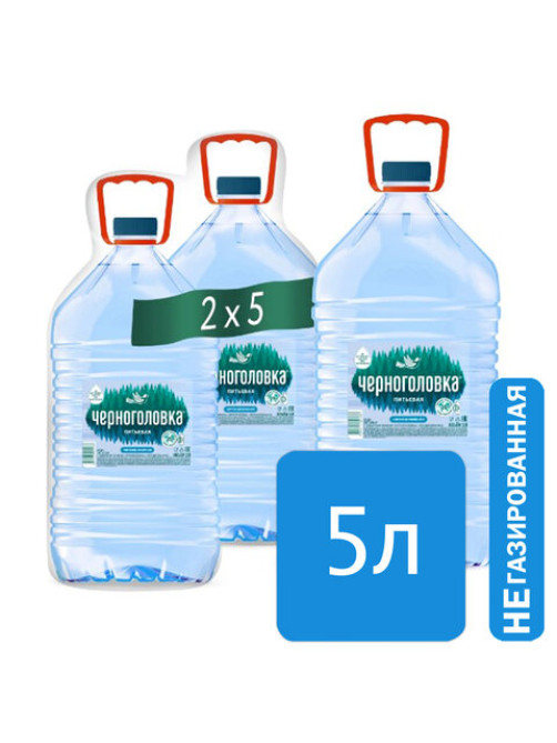 Вода негазированная питьевая ЧЕРНОГОЛОВКА, 5 л