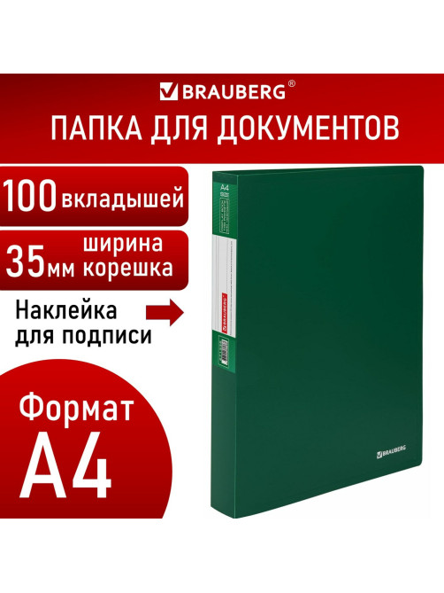 Папка 100 вкладышей BRAUBERG 