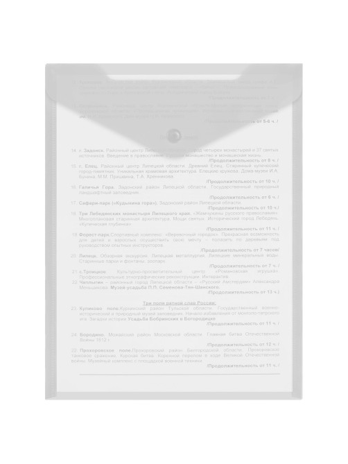 Папка-конверт с кнопкой А4, BRAUBERG 