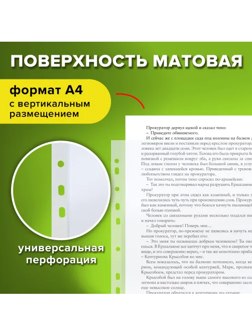 Папки-файлы перфорированные, А4, STAFF 