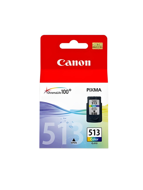 Картридж струйный CANON (CL-513) Pixma MP240, цветной, оригинальный, 2971B007