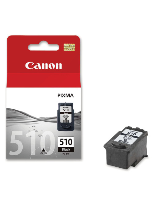Картридж струйный CANON (PG-510) Pixma MP240/MP260/MP480, черный, оригинальный, ресурс 220 страниц, 2970B007