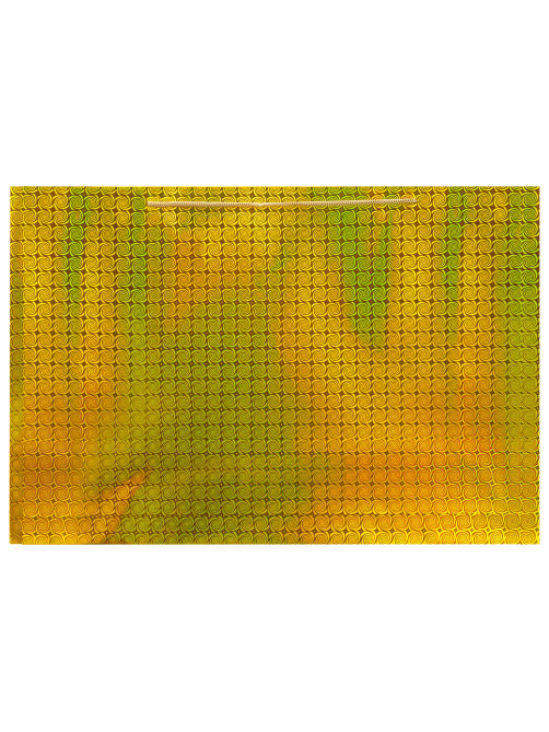 Пакет подарочный (1 шт.) 62x17x42 см, 