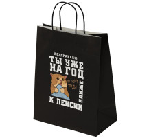 Пакет подарочный (1 штука) 26х13х32 см (L) 