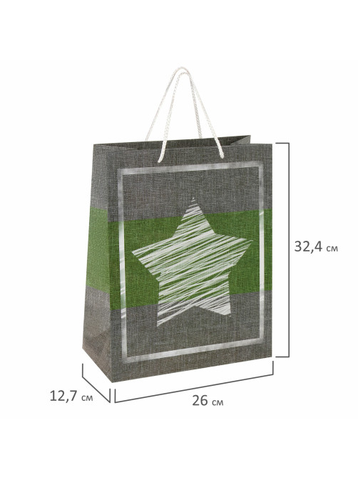 Пакет подарочный (1 штука) 26x13x32 см, ЗОЛОТАЯ СКАЗКА 