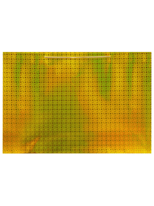 Пакет подарочный (1 шт.) 53x16x38 см, 