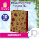 Пакет подарочный КОМПЛЕКТ 10 штук новогодний 18x10x23 см, 
