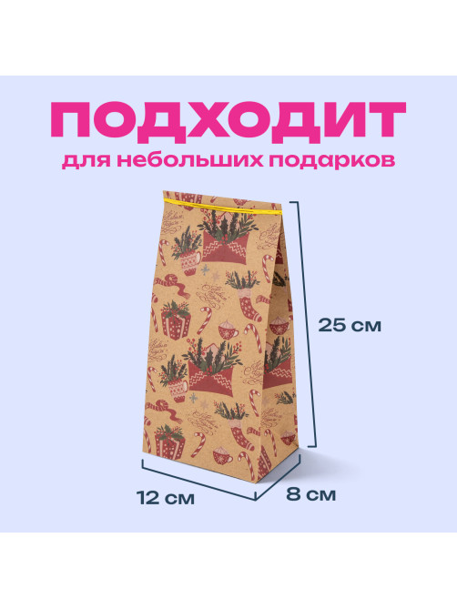 Пакет подарочный КОМПЛЕКТ 10 штук новогодний 12х8х25 см с зажимами, 