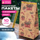 Пакет подарочный КОМПЛЕКТ 10 штук новогодний 12х8х25 см с зажимами, 