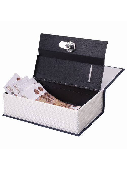 Сейф-книга 