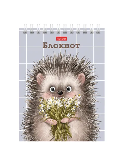 Блокнот МАЛЫЙ ФОРМАТ А6, 40 л., гребень, картон, клетка, HATBER, 