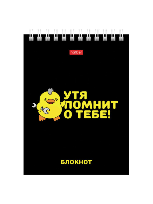 Блокнот МАЛЫЙ ФОРМАТ А6, 40 л., гребень, картон, клетка, HATBER, 