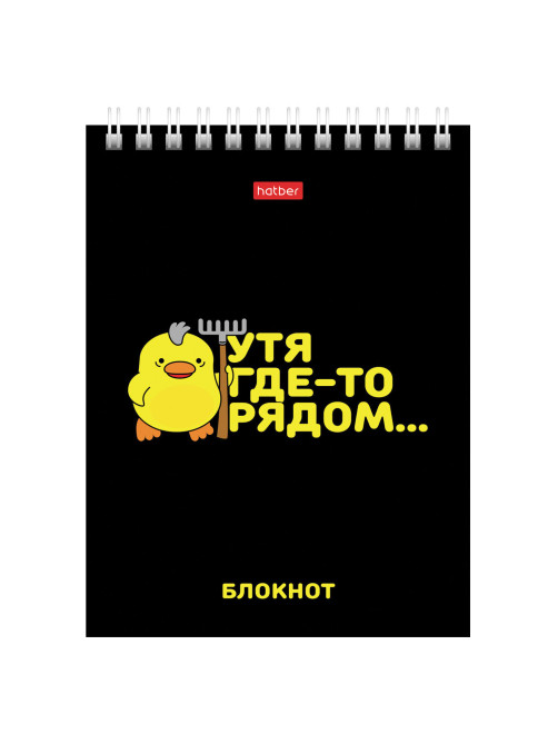 Блокнот МАЛЫЙ ФОРМАТ А6, 40 л., гребень, картон, клетка, HATBER, 