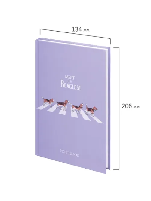 Блокнот А5 134х206 мм, 80 л., твердый, клетка, выборочный лак, STAFF, 