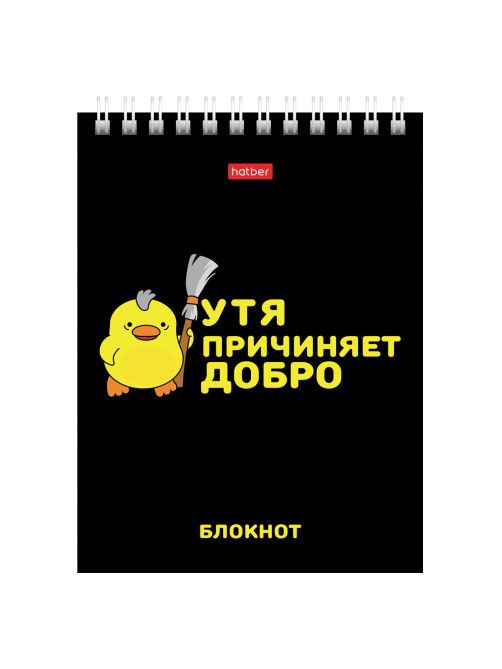 Блокнот МАЛЫЙ ФОРМАТ А6, 40 л., гребень, картон, клетка, HATBER, 