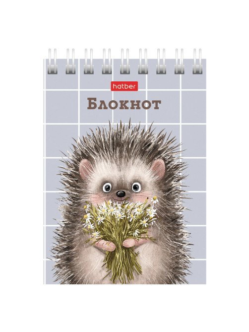 Блокнот МАЛЫЙ ФОРМАТ А7, 40 л., гребень, картон, клетка, HATBER, 