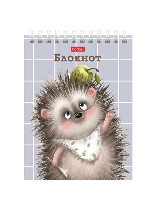 Блокнот МАЛЫЙ ФОРМАТ А6, 40 л., гребень, картон, клетка, HATBER, 
