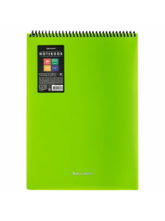 Блокнот БОЛЬШОГО ФОРМАТА А4, 80 л., обложка пластик, клетка, BRAUBERG 