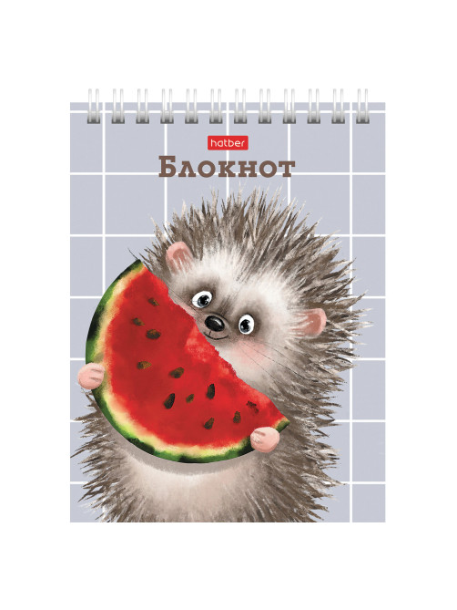 Блокнот МАЛЫЙ ФОРМАТ А6, 40 л., гребень, картон, клетка, HATBER, 