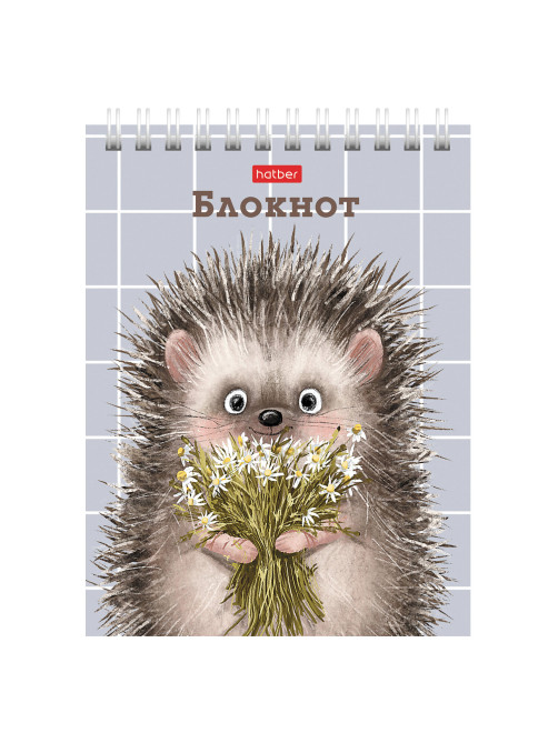 Блокнот МАЛЫЙ ФОРМАТ А6, 40 л., гребень, картон, клетка, HATBER, 