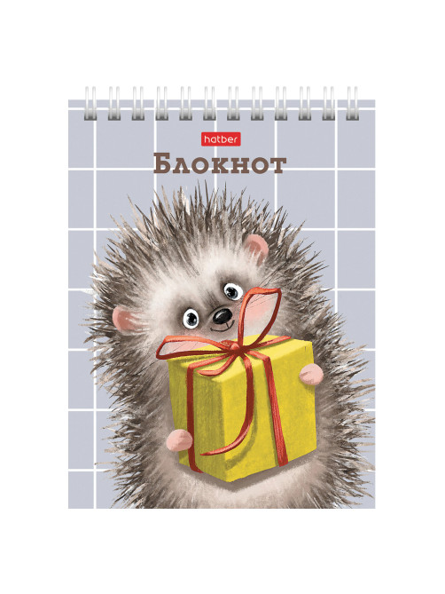 Блокнот МАЛЫЙ ФОРМАТ А6, 40 л., гребень, картон, клетка, HATBER, 