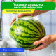 Средство для мытья посуды, овощей и фруктов с дозатором концентрат 1,5 л, PERKLIN (ПЕРКЛИН) 