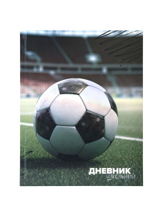 Дневник 1-4 класс 48 л., твердый, ЮНЛАНДИЯ, глянцевая ламинация, с подсказом, 