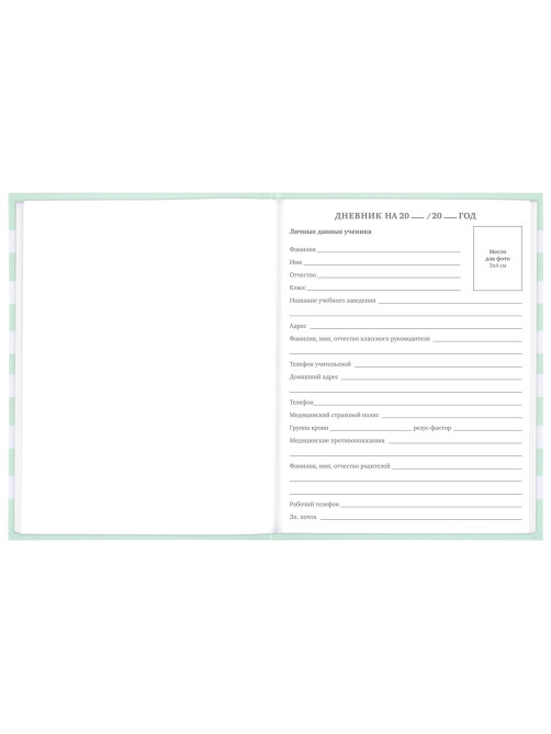 Дневник 1-11 класс 48 л., твердый, BRAUBERG, блестки, с подсказом, 