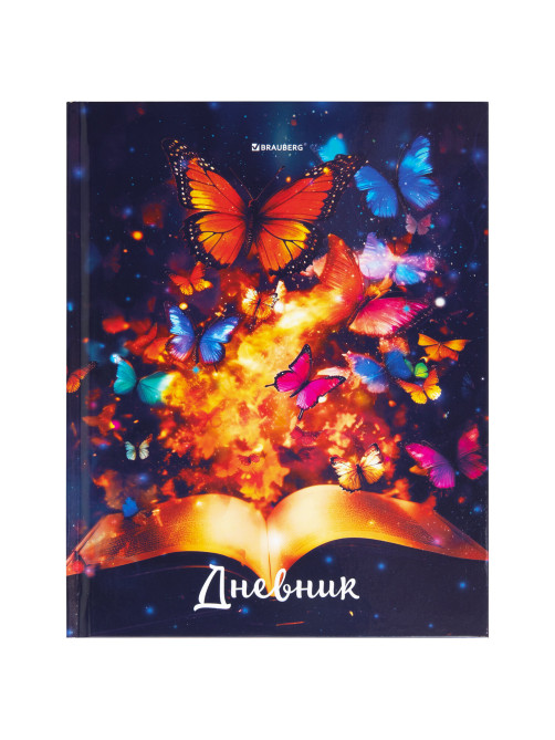 Дневник 1-4 класс 48 л., твердый, BRAUBERG, глянцевая ламинация, с подсказом, 