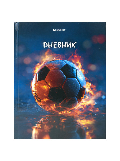 Дневник 1-4 класс 48 л., твердый, BRAUBERG, глянцевая ламинация, с подсказом, 
